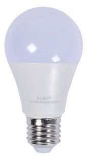 Лампа світлодіодна e.LED.lamp.stand.A60.E27.12.6500, 12Вт, 6500К 110лм/Вт E.NEXT (l0650806) l0650806 фото