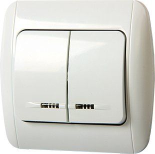 Вимикач e.install.stand.812L двоклавішний з підсвіткою з рамкою E.NEXT (s035020) s035020 фото