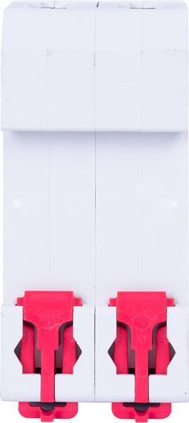 Модульний автоматичний вимикач e.mcb.pro.60.2.B 2 new, 2р, 2А, В, 6кА, new (p041034) p041034 фото
